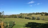 Excursión Senderismo Herve - Charneux eglise - siroperie paysage merveilleux - Photo 14