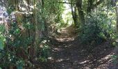 Tocht Stappen Herve - Charneux eglise - siroperie paysage merveilleux - Photo 11