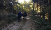 Trail Walking Cassagnas - etape 5 - Photo 7