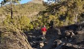 Trail Walking Vilaflor - El sombrero de Chasna  - Photo 3