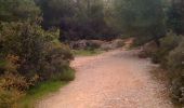 Trail Walking Marseille -  - Photo 1