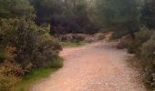 Tour Wandern Marseille -  - Photo 1