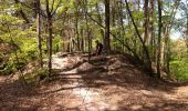 Trail Walking Fontainebleau - RandonnÃ©e - Photo 7