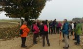 Trail Nordic walking Oud-Heverlee - 2016-10-27 Doode Bemde - Photo 15