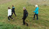 Trail Nordic walking Oud-Heverlee - 2016-10-27 Doode Bemde - Photo 9