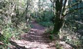 Percorso Marcia Bagnols-en-Forêt - Cascade de Gourchin.(27-10-16). - Photo 4