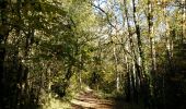 Percorso Marcia Bagnols-en-Forêt - Cascade de Gourchin.(27-10-16). - Photo 3