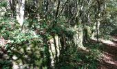 Percorso Marcia Bagnols-en-Forêt - Cascade de Gourchin.(27-10-16). - Photo 2