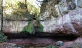 Percorso Marcia Bagnols-en-Forêt - Cascade de Gourchin.(27-10-16). - Photo 1