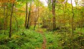 Trail Walking Longpont - en forêt de Retz_49_Longpont_ étangs de Javage_AR - Photo 20