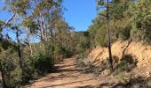 Percorso Mountainbike Saint-Raphaël - les 3 lacs - Photo 7