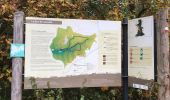 Trail Walking Ottignies-Louvain-la-Neuve - Balade dans le Bois de Lauzelle - Photo 6