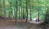 Tocht Stappen Ottignies-Louvain-la-Neuve - Balade dans le Bois de Lauzelle - Photo 3