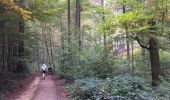 Trail Walking Ottignies-Louvain-la-Neuve - Balade dans le Bois de Lauzelle - Photo 2