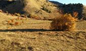 Tocht Stappen Le Dévoluy - Tête de Garnesier.Devoluy.(30-10-16) - Photo 3