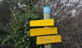 Trail Walking Crozes-Hermitage - Belvédère de Pierre Aiguille 30 10 2016 - Photo 10