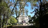 Tour Wandern Saint-Rémy-de-Provence - le rocher des deux trous - Photo 17