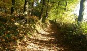 Trail Walking Genappe - la Hutte -Bousval - Photo 17