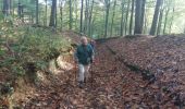 Trail Walking Genappe - la Hutte -Bousval - Photo 7