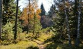 Tour Wandern La Versanne - Gimel - Photo 8