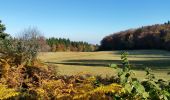 Trail Walking La Versanne - Gimel - Photo 3