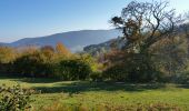 Excursión Senderismo La Versanne - Gimel - Photo 1