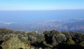 Trail Walking Argelès-sur-Mer - Tour la Massane à partir de Valmy - Photo 4