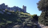 Trail Walking Argelès-sur-Mer - Tour la Massane à partir de Valmy - Photo 2