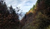 Trail Walking Talloires-Montmin - col lancrenaz - Photo 3