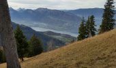 Trail Walking Talloires-Montmin - col lancrenaz - Photo 1