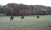 Randonnée Marche Chaumont-Gistoux - Dion Le Mont Proxirando 17 km 06 11 2016 - Photo 13