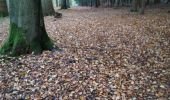 Randonnée Marche Watermael-Boitsfort - sentiers et chemin en forêt - Photo 4