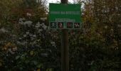 Randonnée Marche Watermael-Boitsfort - sentiers et chemin en forêt - Photo 3