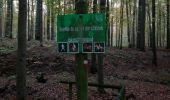 Randonnée Marche Watermael-Boitsfort - sentiers et chemin en forêt - Photo 1