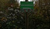 Tour Wandern Watermael-Boitsfort - Watermaal-Bosvoorde - sentiers et chemin en forêt - Photo 3