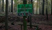 Tocht Stappen Watermaal-Bosvoorde - sentiers et chemin en forêt - Photo 1