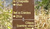 Randonnée Marche Cilaos - La Réunion - La Chapelle au départ de Cilaos - Photo 14
