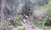 Trail Walking Cilaos - La Réunion - La Chapelle retour sur Cilaos  - Photo 2