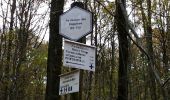Trail Walking Profondeville - RIVIERE ( Les Béguines) - Photo 4