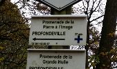 Tocht Stappen Profondeville - RIVIERE ( Les Béguines) - Photo 3