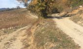 Trail Walking Aurel - Aurel Rimon et Chanteloube - Photo 1