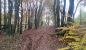 Trail Mountain bike Saint-Clément - sortie vtt du 13112026 - Photo 10