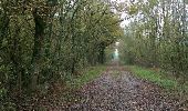 Tocht Stappen Joyeux - 11 lacs dans les Dombes. - Photo 11