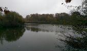 Tocht Stappen Joyeux - 11 lacs dans les Dombes. - Photo 7