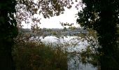 Tocht Stappen Joyeux - 11 lacs dans les Dombes. - Photo 5