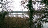 Tocht Stappen Joyeux - 11 lacs dans les Dombes. - Photo 3