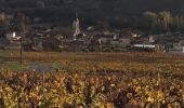 Tour Wandern Le Perréon - le Perréon (69) - Photo 3