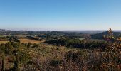 Trail Walking Maussane-les-Alpilles - Maussane Les Baux - Photo 3