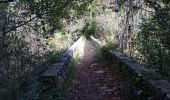 Trail Walking Montauroux - Pont des Tuves 3 - Photo 4