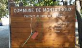 Percorso Marcia Montauroux - Pont des Tuves 3 - Photo 7